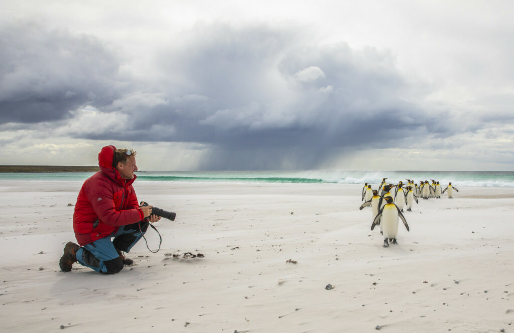 Iñaki Relanzón con su Lumix G9 frente a un grupo de pingüinos rey.