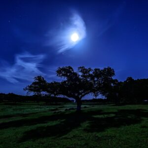 Andrés Magai La dehesa con luna - fotografía nocturna