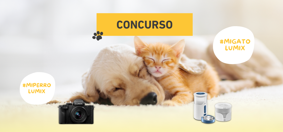 Concurso Lumix Pet Care