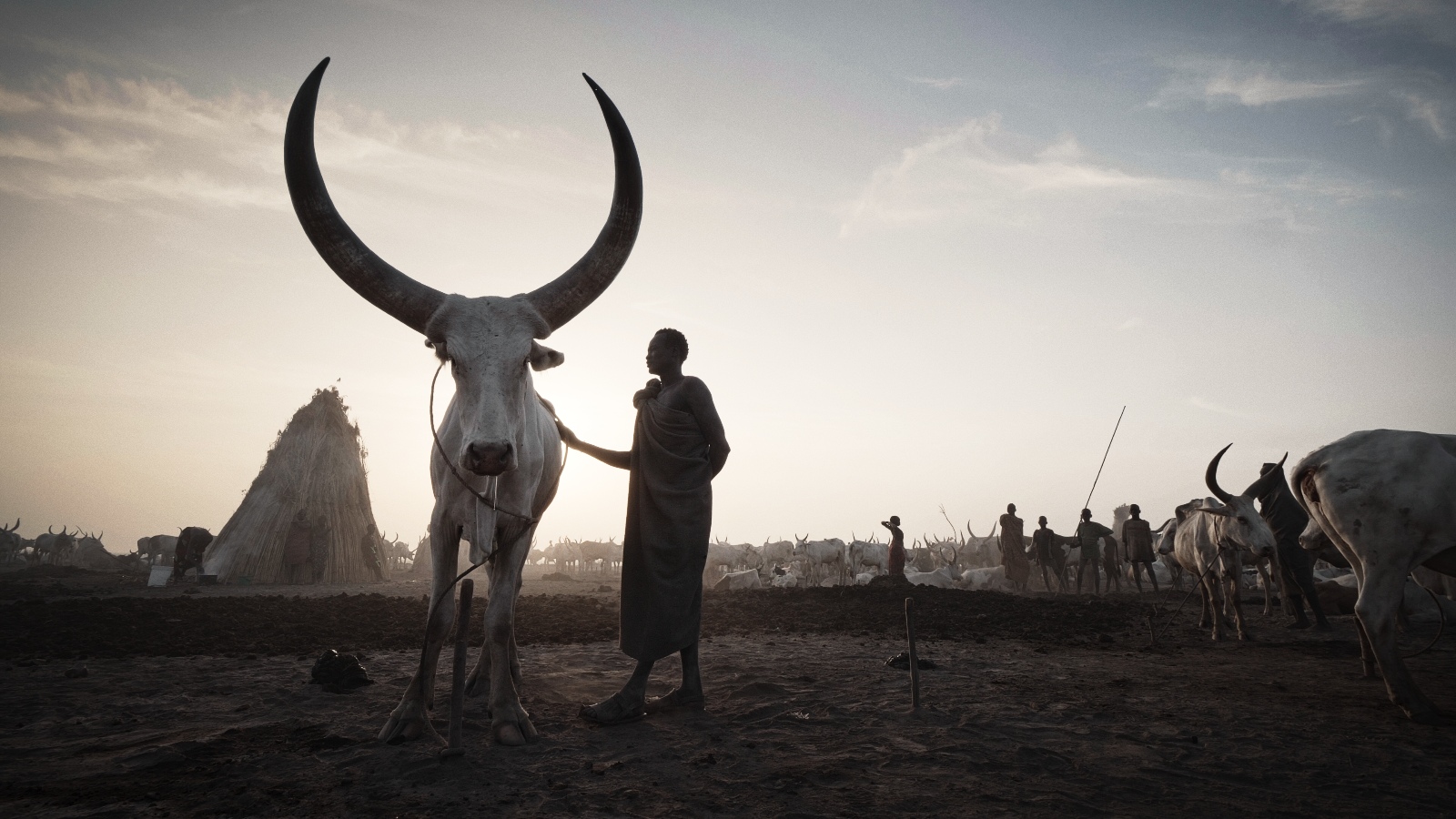 "Voces de la Tierra": el documental de Aner Etxebarria y Pablo Vidal, ya disponible en Filmin