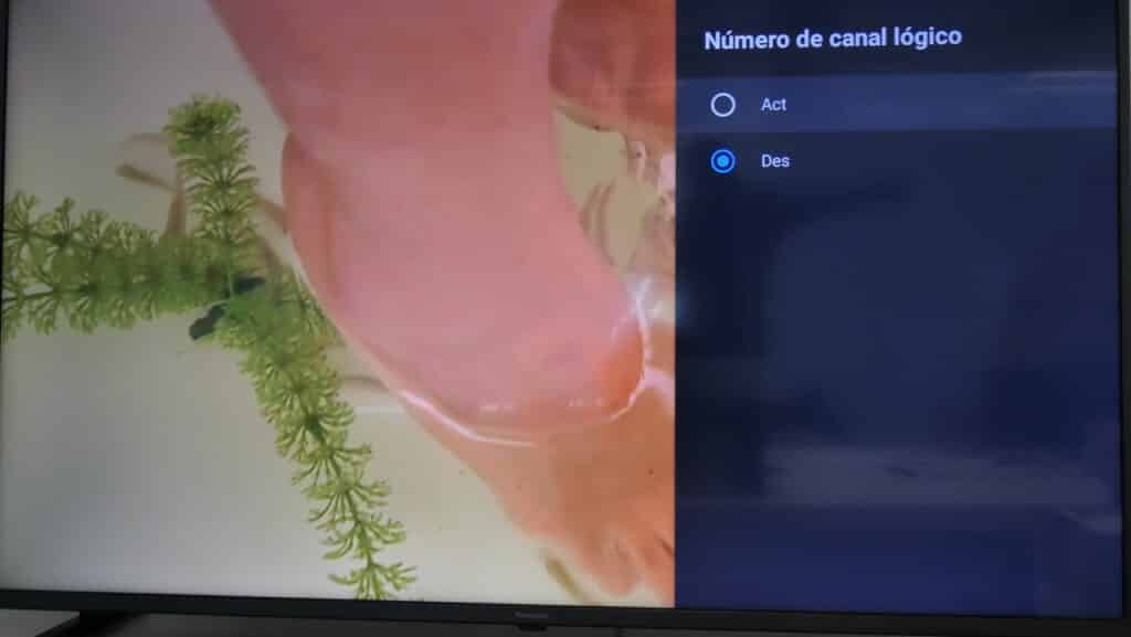 Ordenar canales Android TV