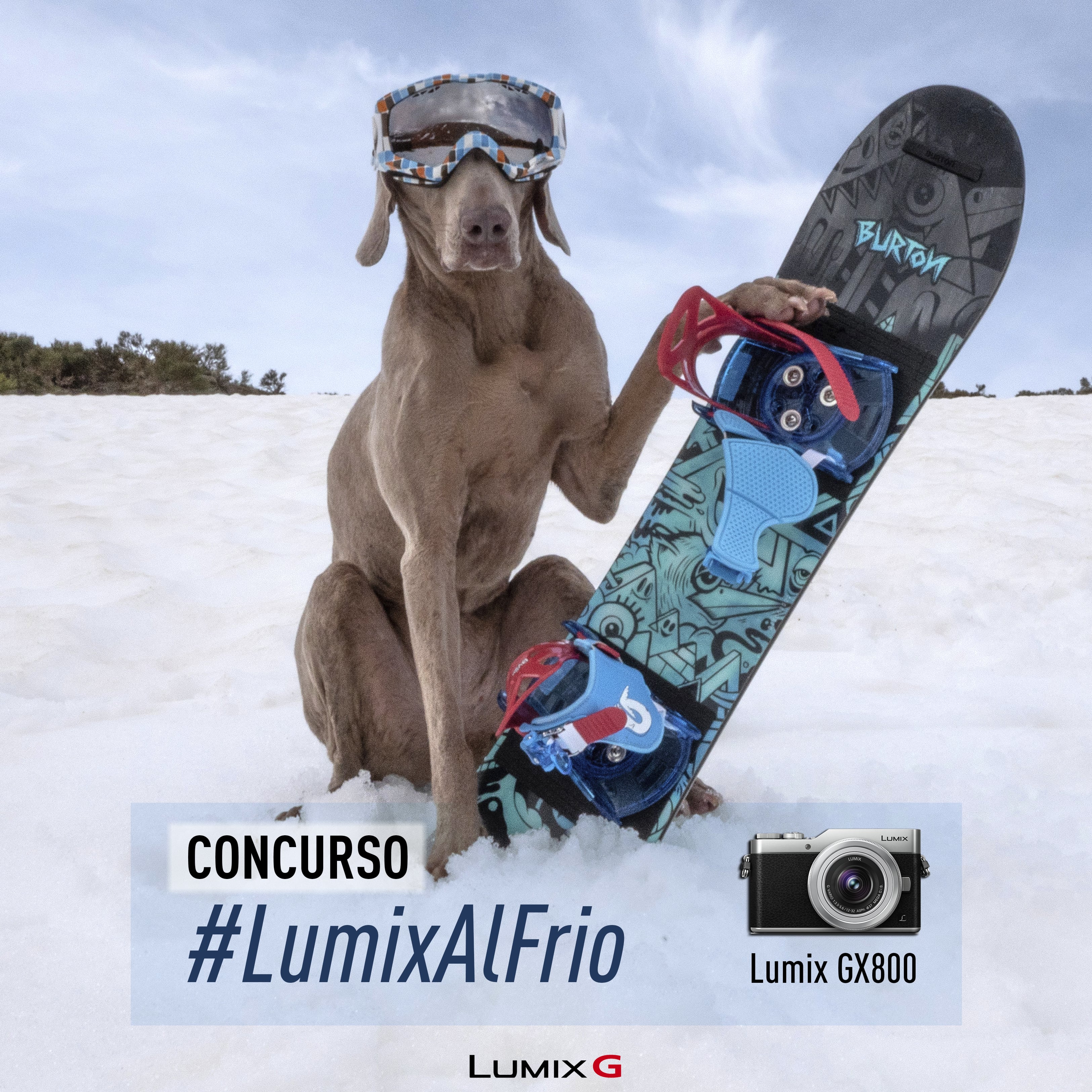 Participa en el concurso #LumixAlFrio en Instagram y gana una Lumix GX800