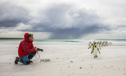 Descubre la belleza de las Islas Malvinas con Iñaki Relanzón