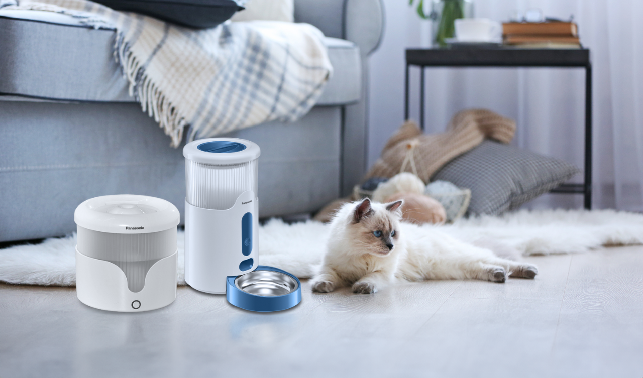 Día Mundial del Gato con nuestros nuevos productos para mascotas
