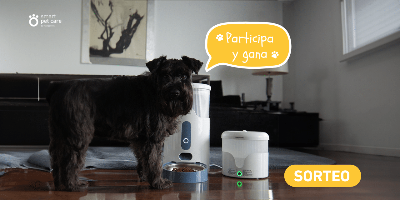 BASES LEGALES DEL SORTEO SMART PET CARE EN INSTAGRAM